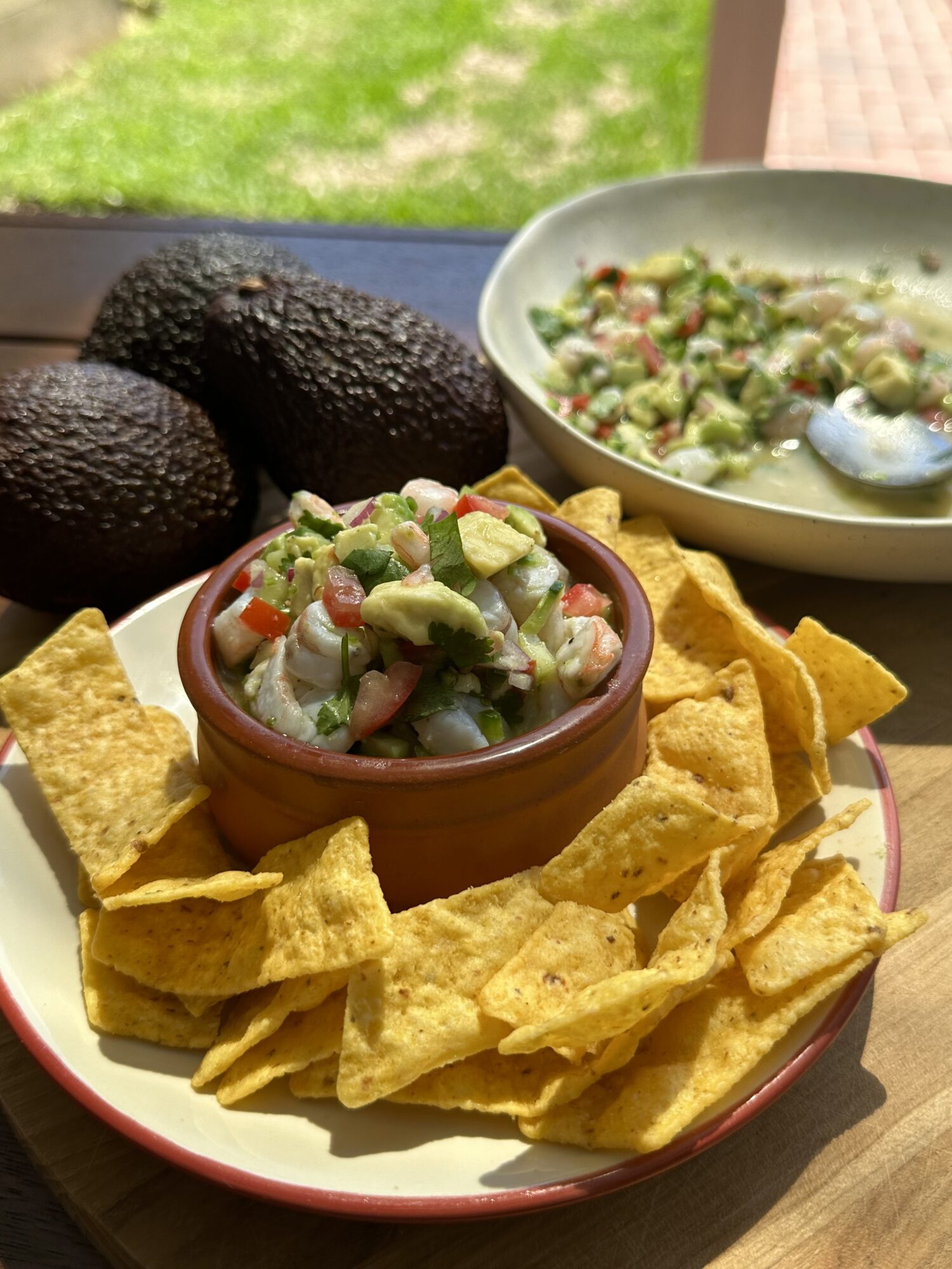 Prawn and Avocado Ceviche